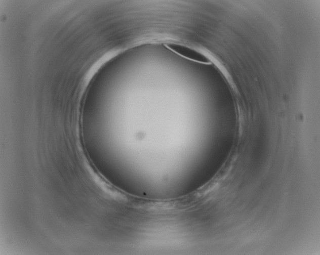 X0000076220861200610122048