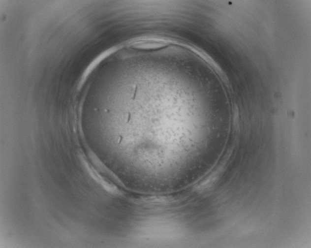 X0000076220862200610122048