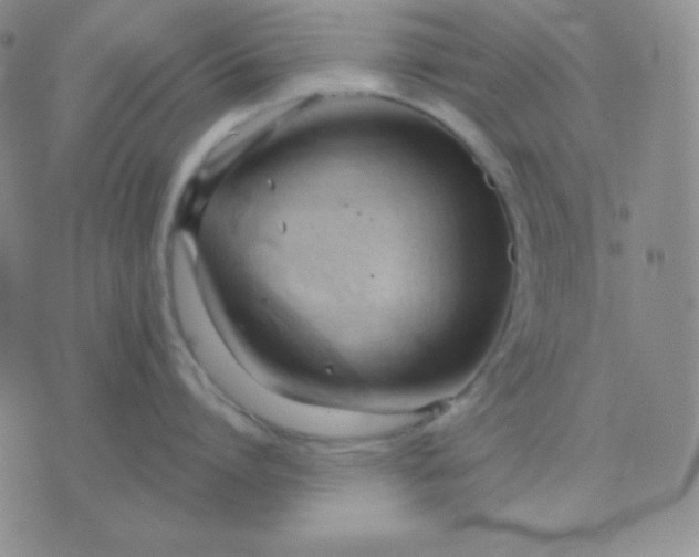 X0000076220864200610122048