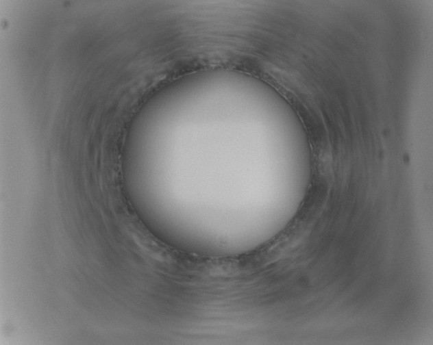 X0000076220865200610122047