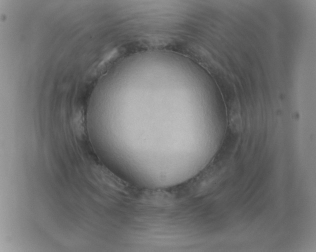 X0000076220866200610122047