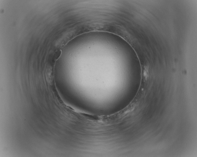 X0000076220867200610122047