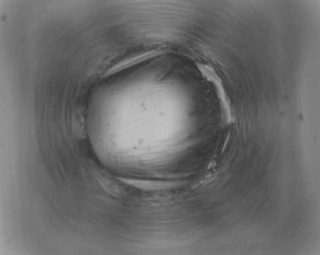 X0000076220868200610122047