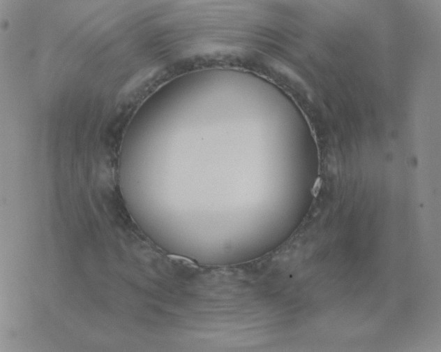 X0000076220869200610122047