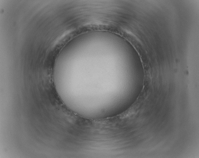 X0000076220870200610122047