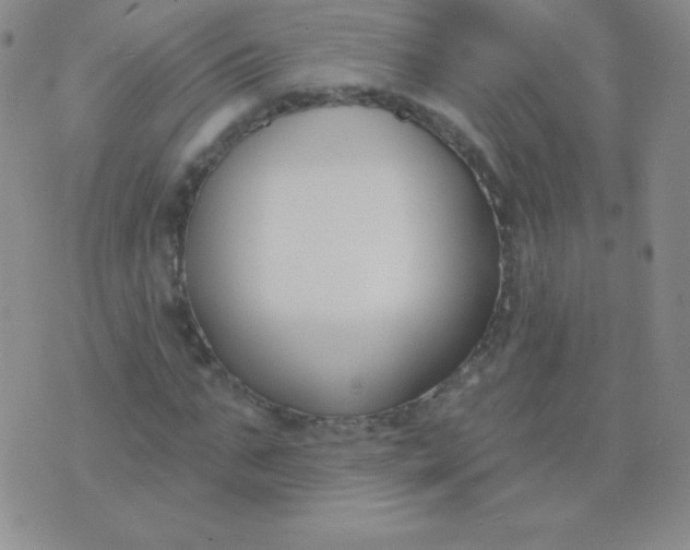 X0000076220871200610122047