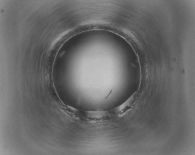 X0000076220872200610122047