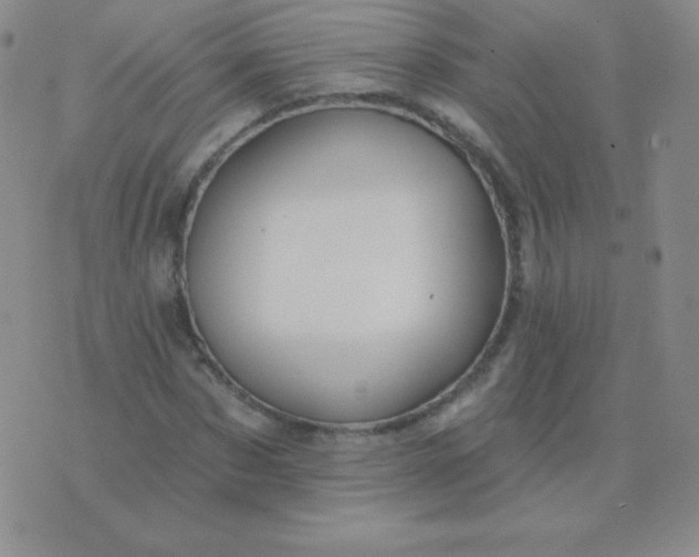 X0000076220873200610122047