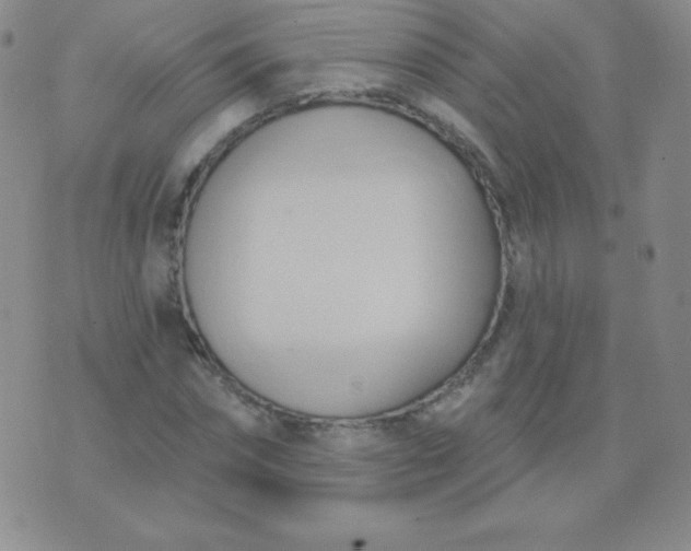 X0000076220874200610122047