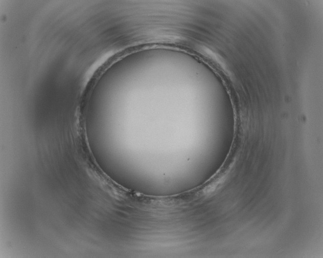 X0000076220875200610122047