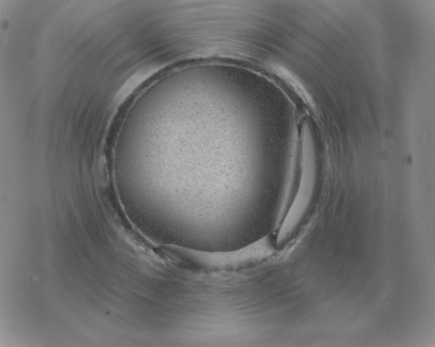 X0000076220876200610122047