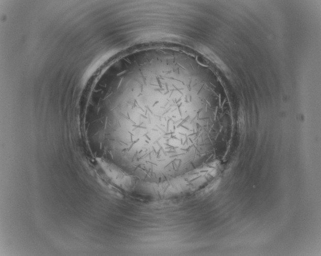 X0000076220877200610122047