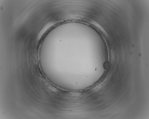 X0000076220878200610122047