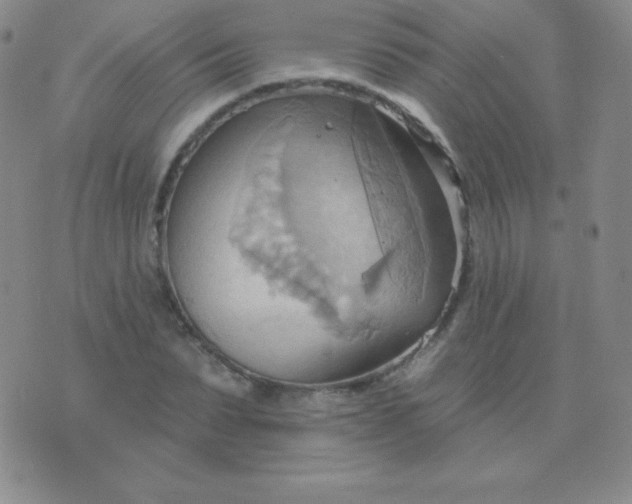 X0000076220879200610122047