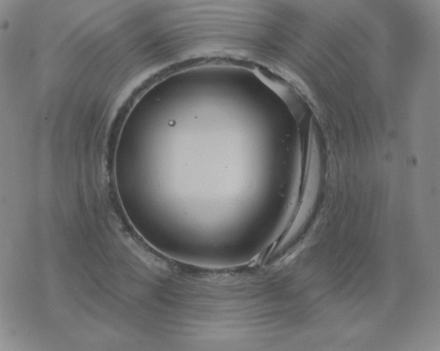 X0000076220880200610122047