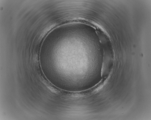 X0000076220881200610122047