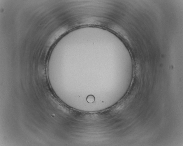 X0000076220882200610122047