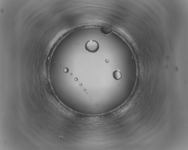 X0000076220883200610122047