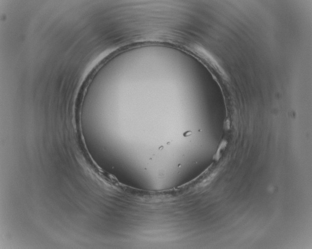 X0000076220884200610122047