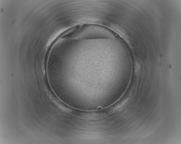 X0000076220885200610122047