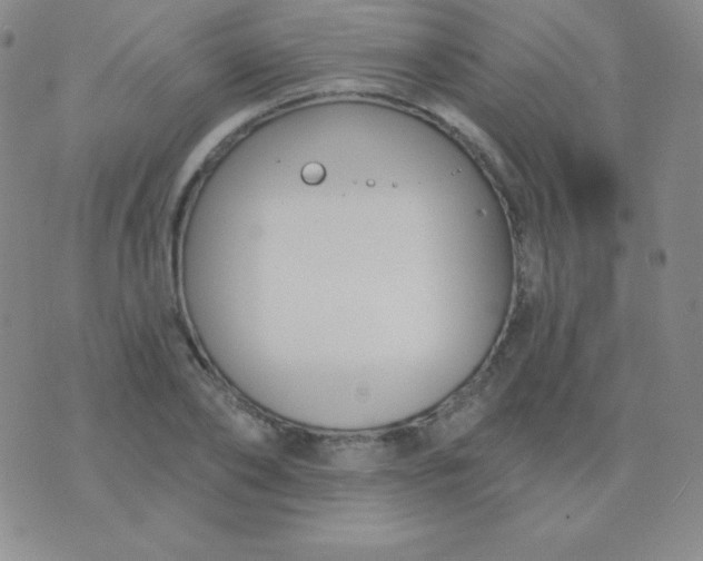 X0000076220886200610122047