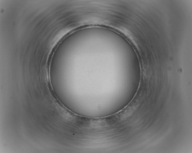 X0000076220887200610122047