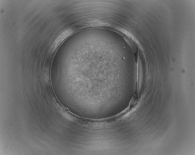 X0000076220889200610122047