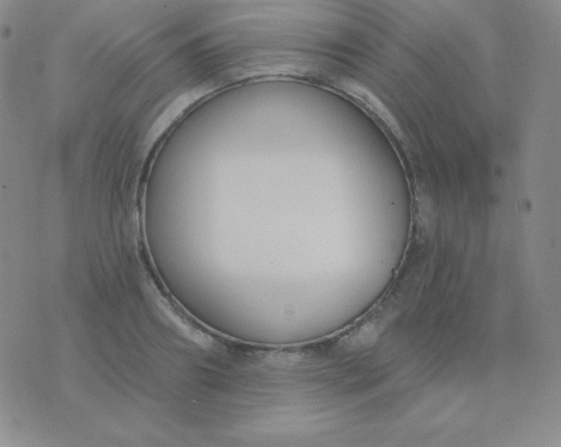 X0000076220890200610122047