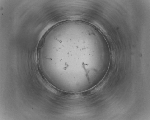 X0000076220891200610122047