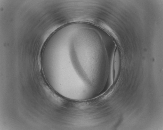 X0000076220892200610122047