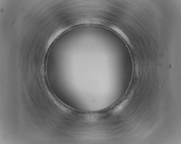 X0000076220893200610122047