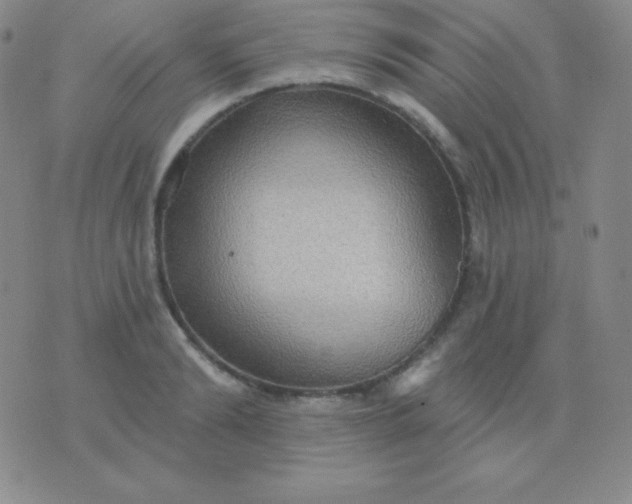 X0000076220894200610122047