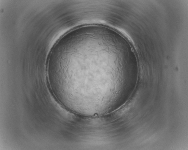 X0000076220895200610122047