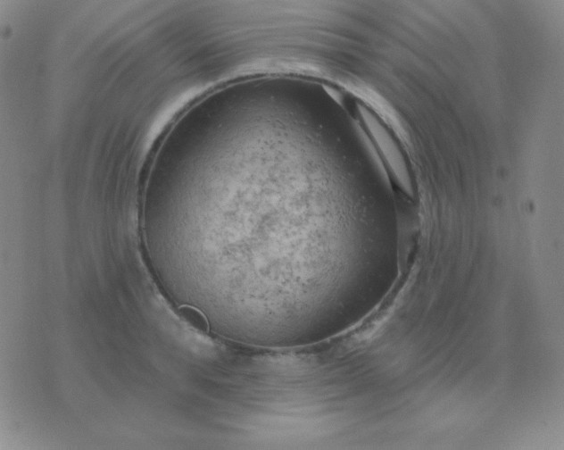 X0000076220896200610122047