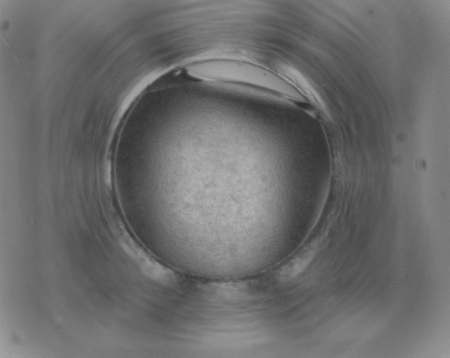 X0000076220900200610122047