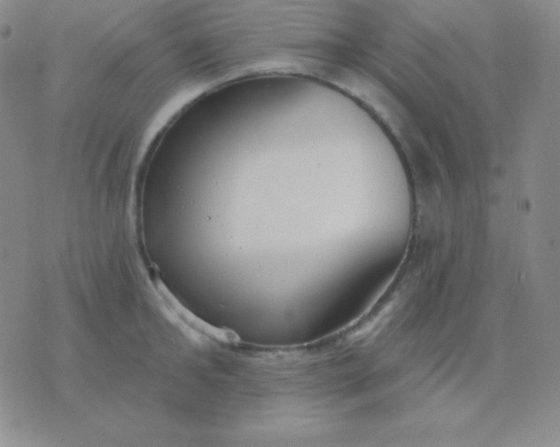 X0000076220902200610122047