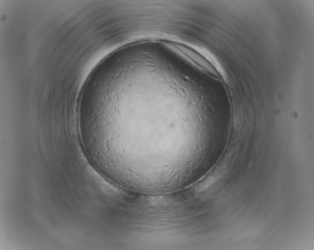 X0000076220903200610122047