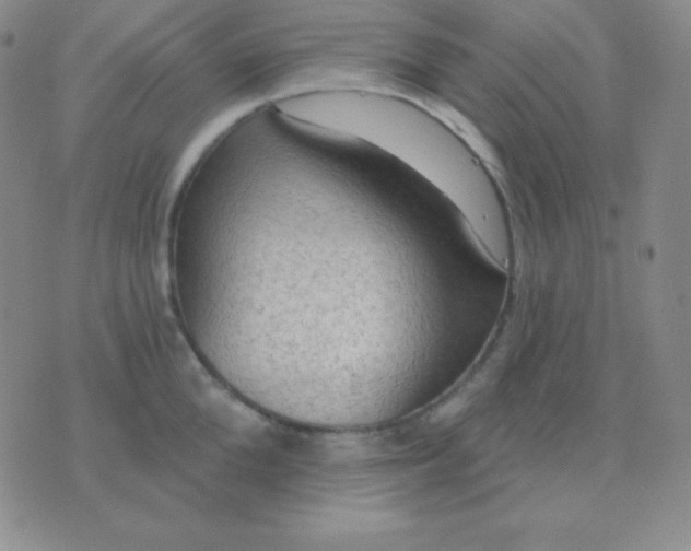 X0000076220904200610122047