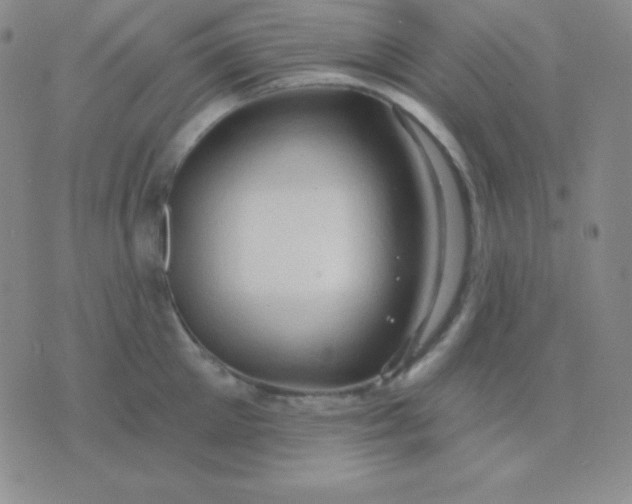 X0000076220905200610122047