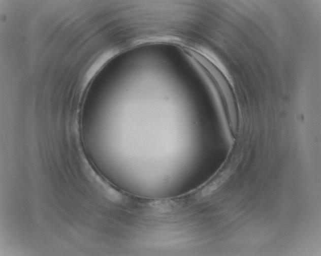 X0000076220906200610122047