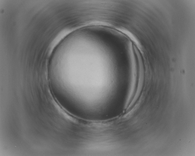 X0000076220910200610122047