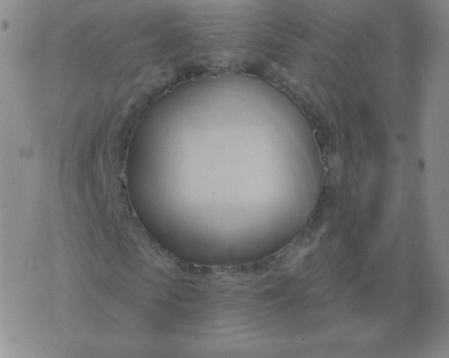 X0000076220913200610122046