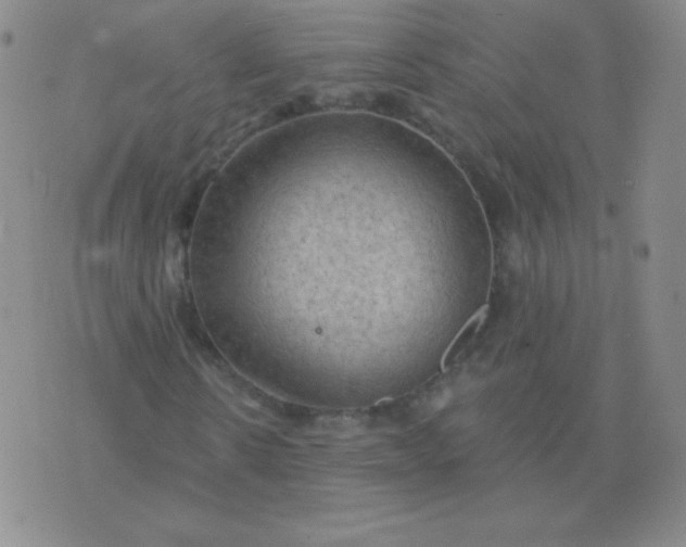 X0000076220914200610122046