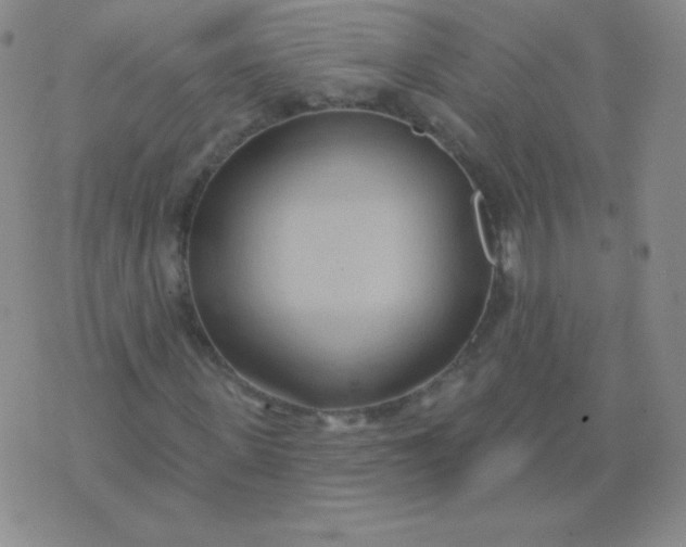 X0000076220915200610122046