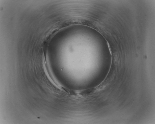 X0000076220916200610122046