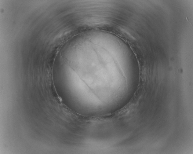 X0000076220917200610122046