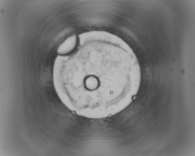 X0000076220918200610122046