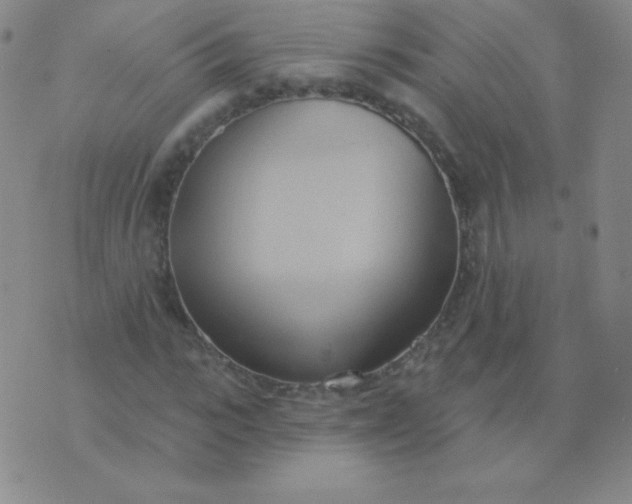 X0000076220919200610122046