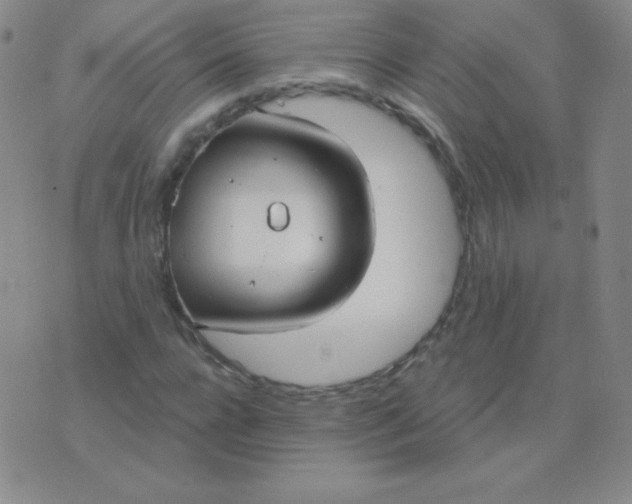 X0000076220920200610122046