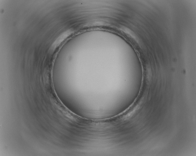 X0000076220921200610122046